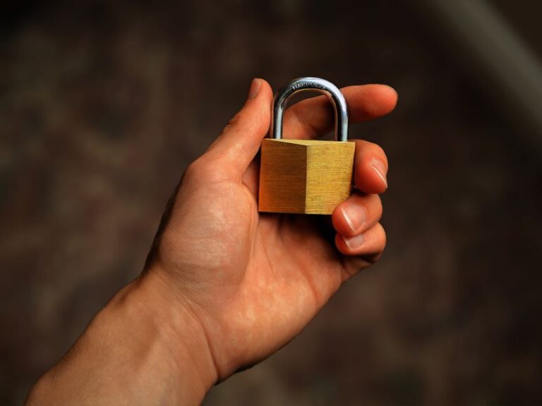 Privacidad en línea y candado de seguridad